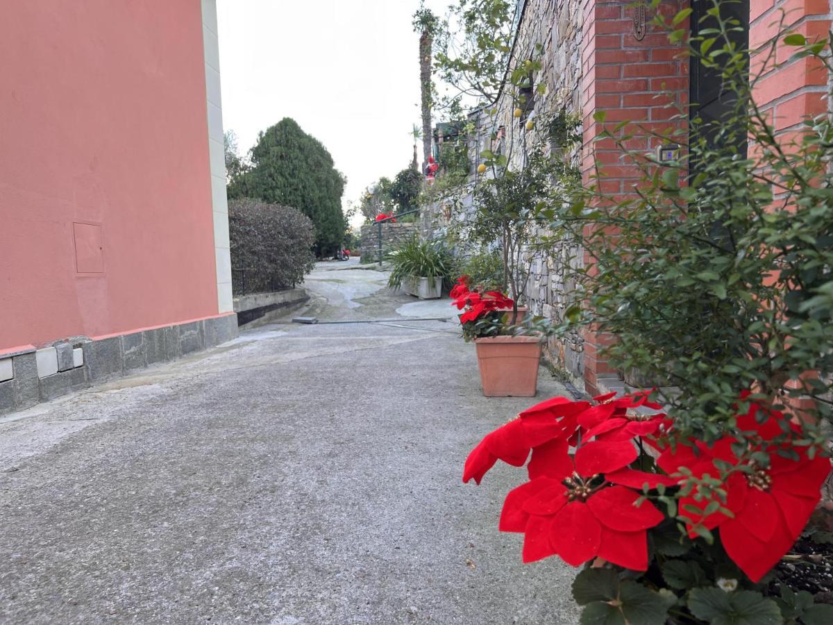 La Baita Di San Massimo Villa Rapallo Ngoại thất bức ảnh